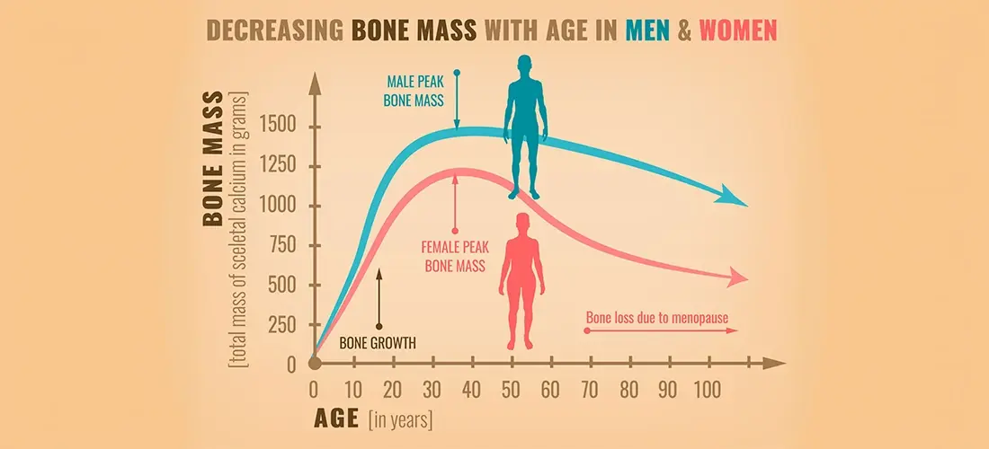 Why Do our Bones get Weaker