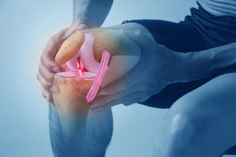 Knee Cartilage Injuries