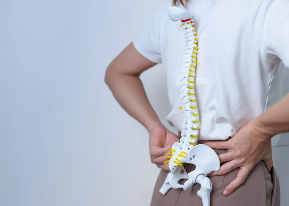 Degenerative Joint Disease