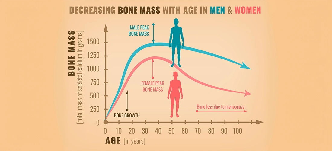 Why Do our Bones get Weaker