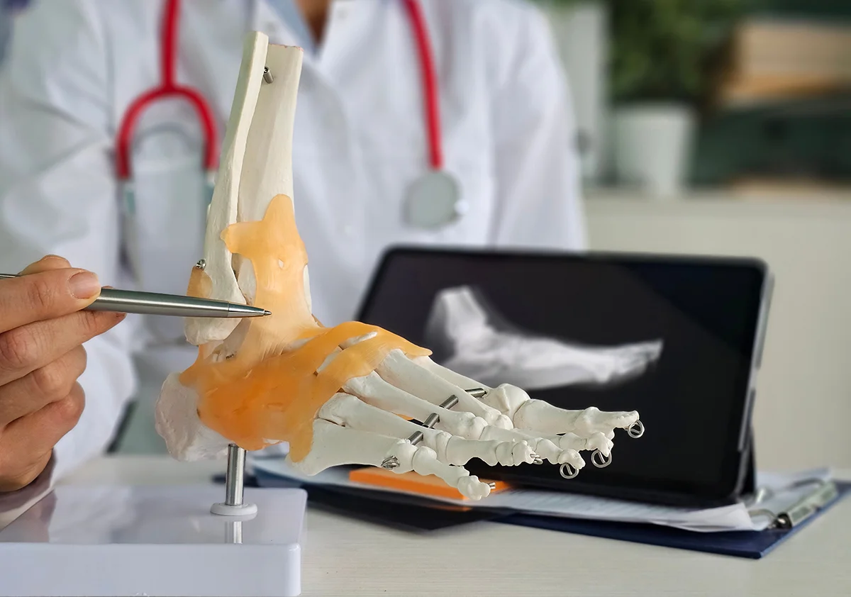 Foot doctor using a human anatomy model during a consultation for foot pain