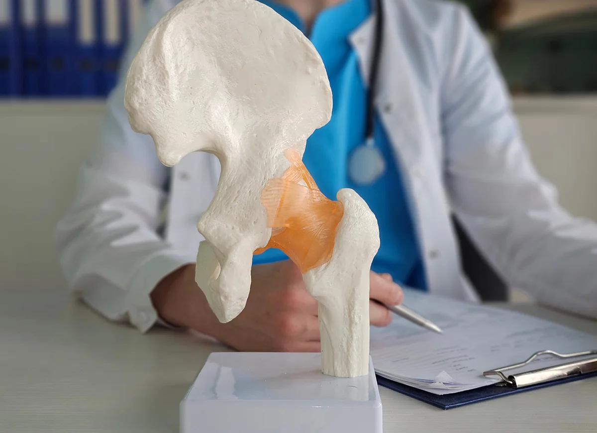 Hip doctor in consultation using a human anatomy model