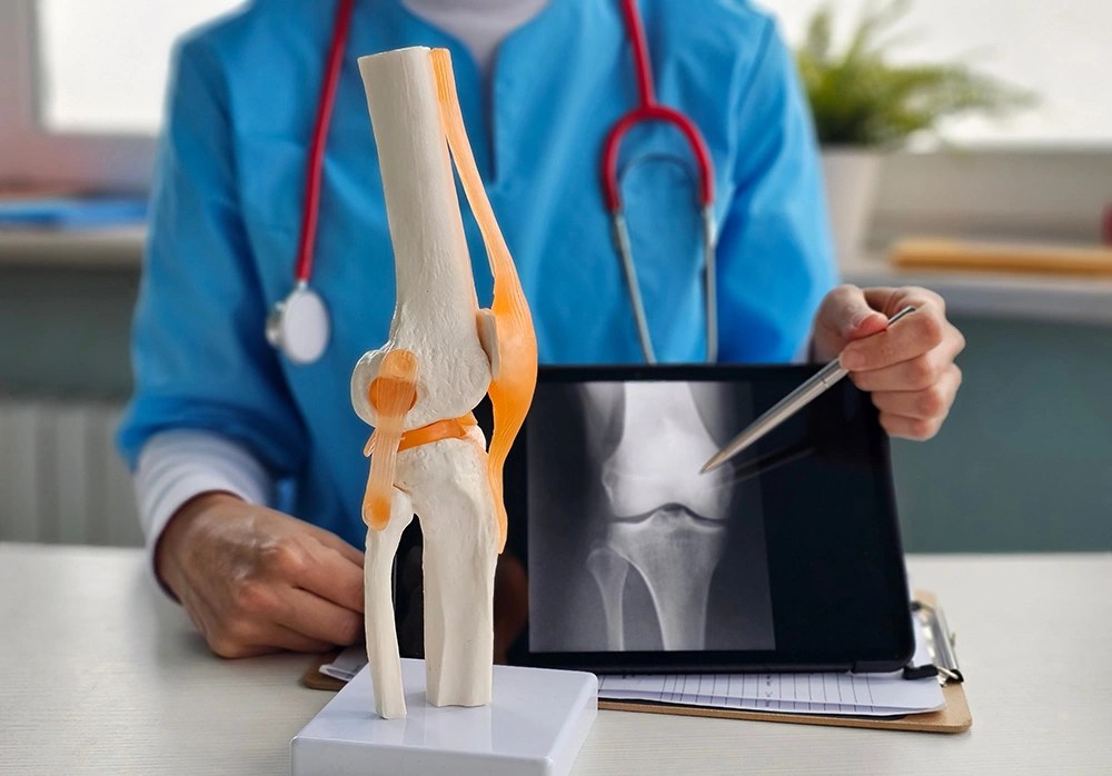 Knee Surgeon explaining to patient using knee anatomy model