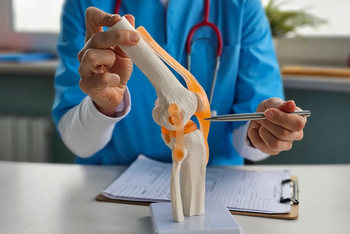 Knee surgeon using a human anatomy model to explain a knee condition