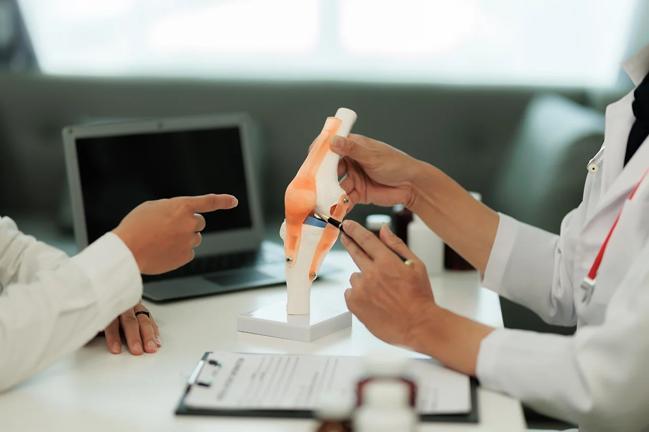 Meniscus specialist using a human knee anatomy model during patient consultation. 