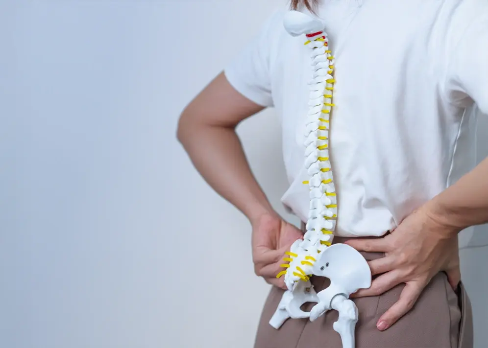 Degenerative Joint Disease