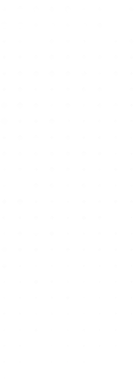 Main Banner Decoration